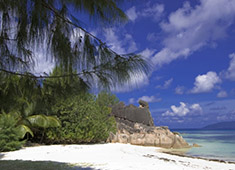 cousine island seychelles